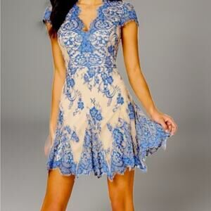 Gorgeous Bebe Blue Lace Midi Dress